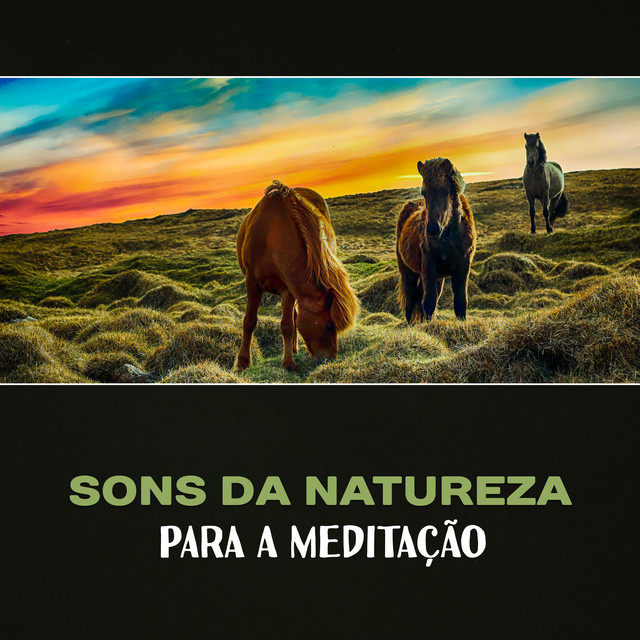 Sons da Natureza para a Meditação - Música Calmante e Espiritual para Exercícios de Meditação, Alcançar Harmonia, Paz e Equilíbrio cover art