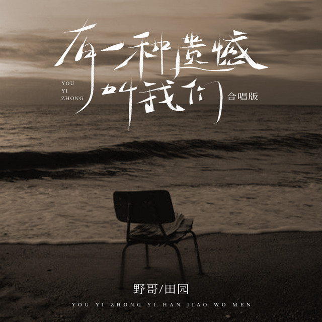 有一种遗憾叫我们(合唱版) - Single by 田园| Spotify