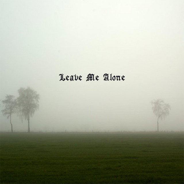 Leave Me Alone cover art