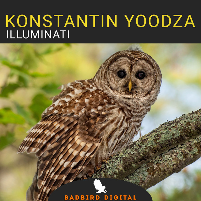 Обкладинка Konstantin Yoodza — Illuminati
