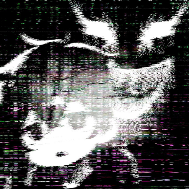 decaying perception cover art