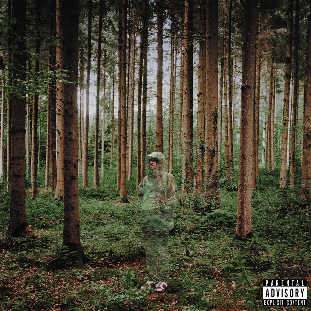 Something To Hide cover art
