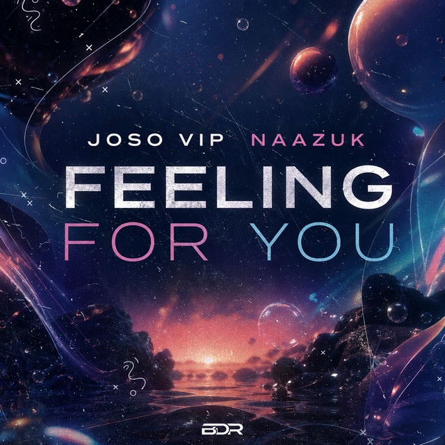 Обкладинка: Feeling For You — Joso VIP