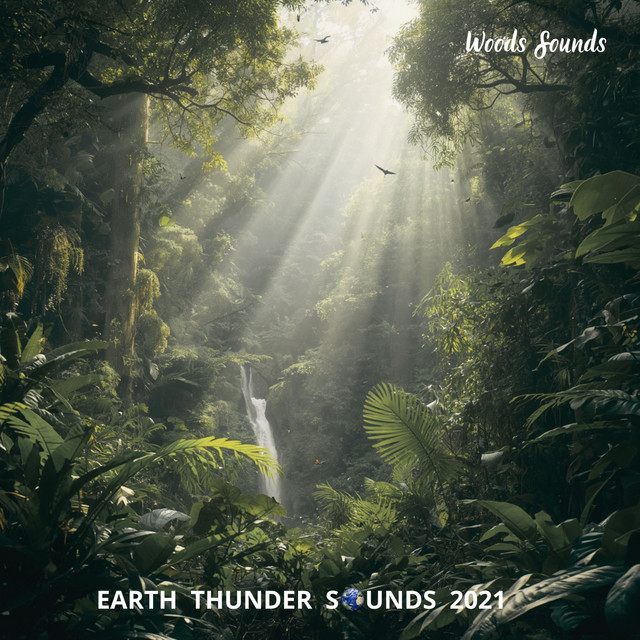 Woods Sounds album image