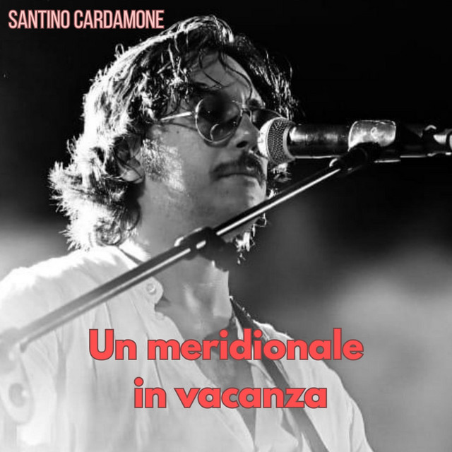 Un meridionale in vacanza cover