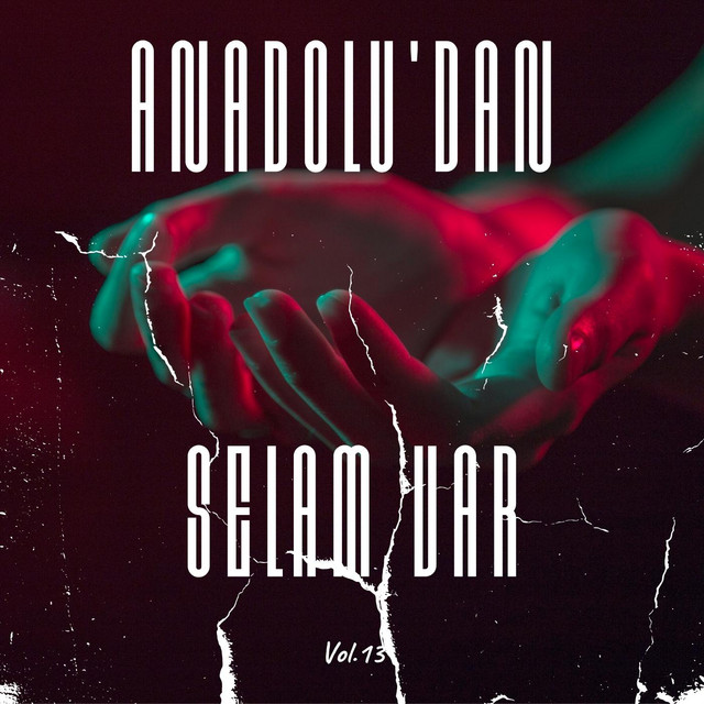 Anadolu'dan Selam Var, Vol. 13 cover art