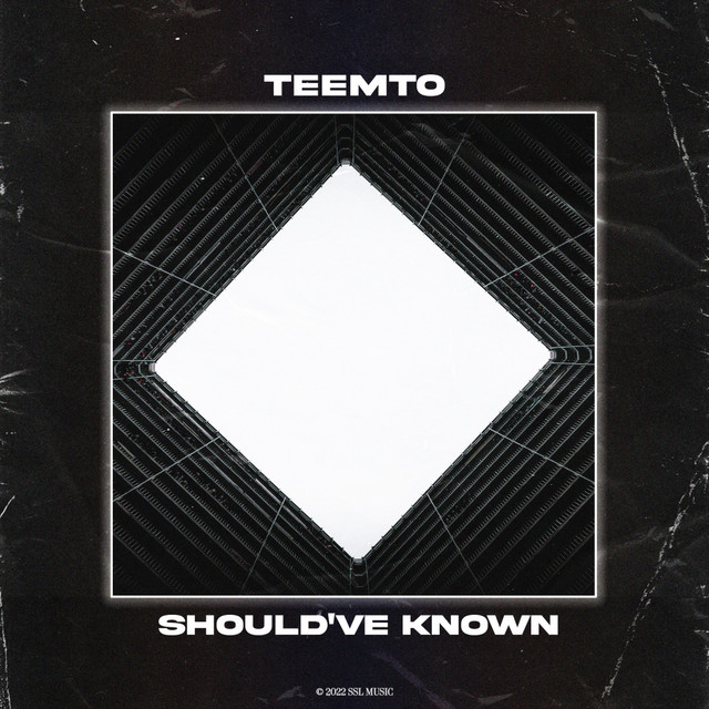 Teemto – Should've Known