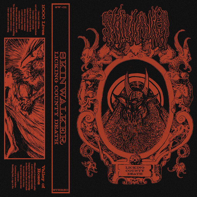 Licking County Death cover