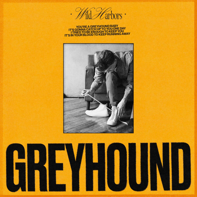 Greyhound cover