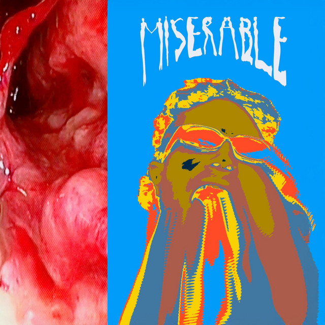 Miserable cover