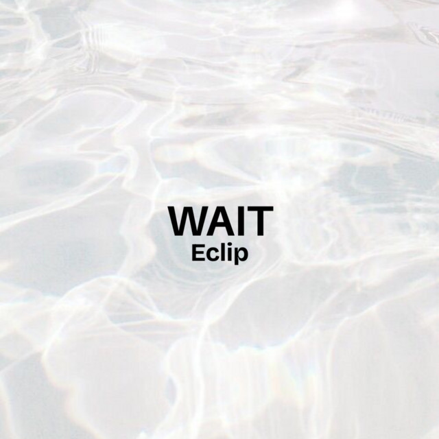 WAIT cover art