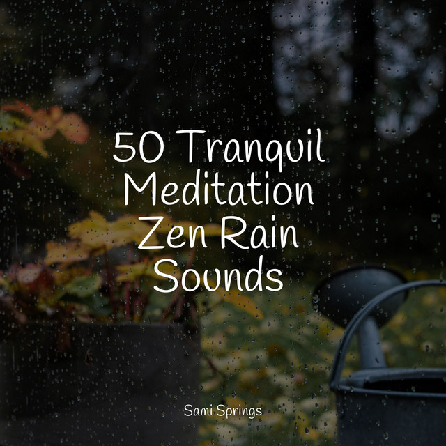 50 Tranquil Meditation Zen Rain Sounds - Album by Rain Sounds Nature ...