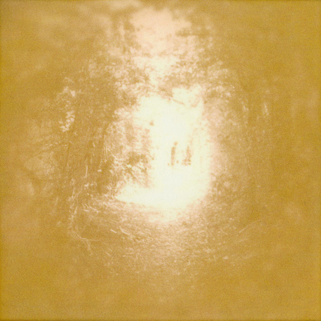 Subtle Trees cover art