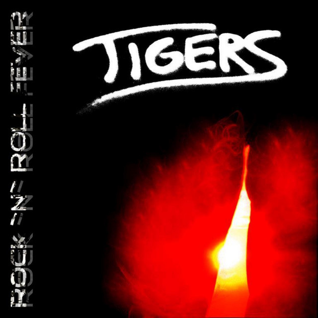 Rock 'N' Roll Fever cover art
