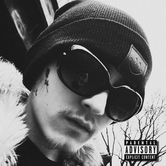 DAMAGE CONTROL. cover art