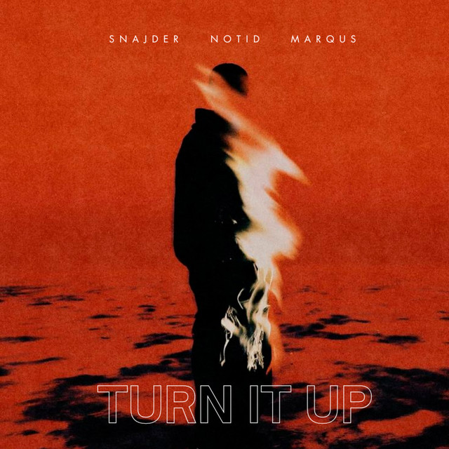 Обкладинка: Turn It Up - Radio — SNAJDER