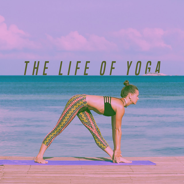 The Life Of Yoga cover art