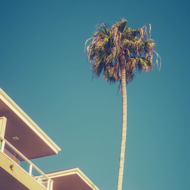 Обкладинка: Carefree Sunday — Vens Adams