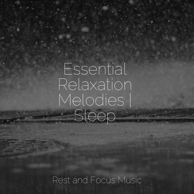 Essential Relaxation Melodies | Sleep - Album by Tinnitus Aid | Spotify