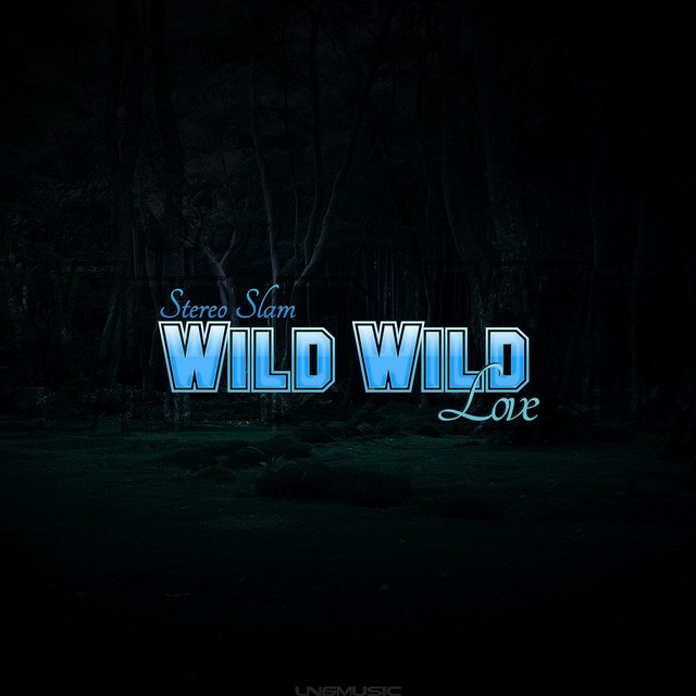 Wild Wild Love - Homeless John Remix Edit cover art