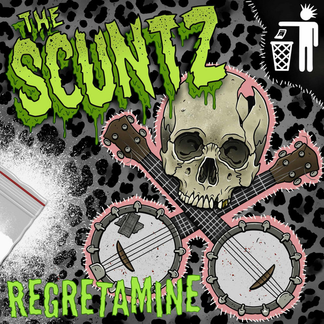 Regretamine cover