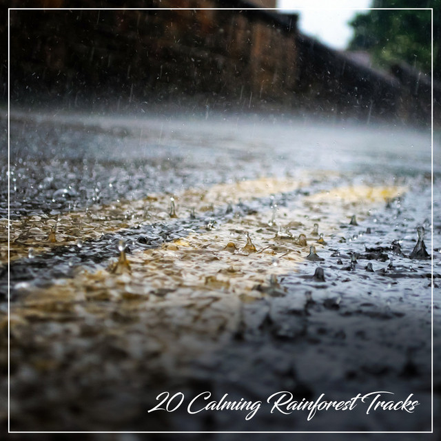 20 Calming Rainforest Tracks: Morning Rainfall cover art