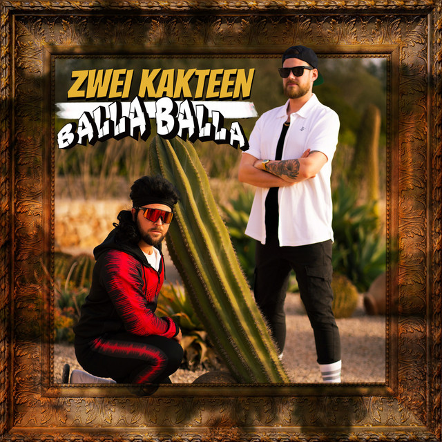 Zwei Kakteen