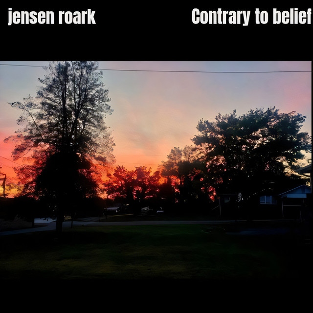 contrary to belief (Instrumental) cover art