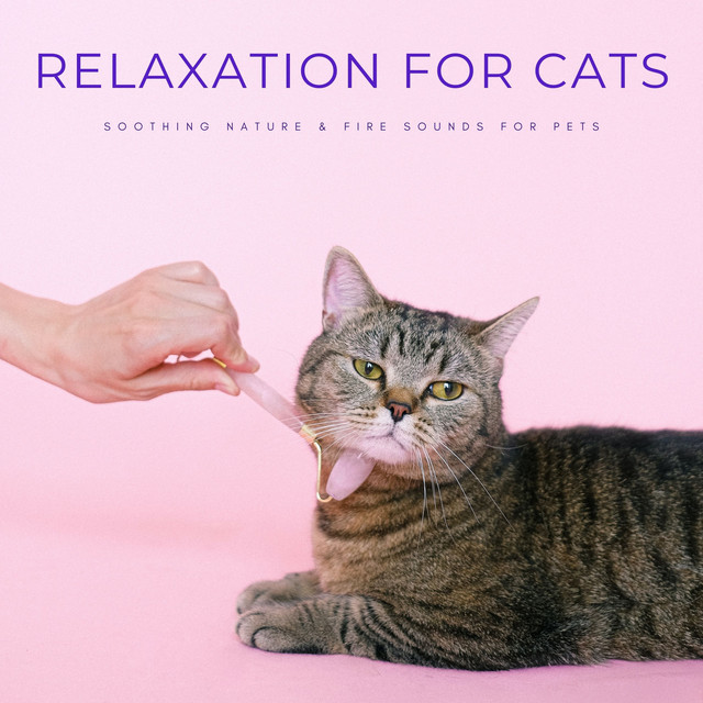 Relaxation For Cats: Soothing Nature & Fire Sounds For Pets - Album by ...