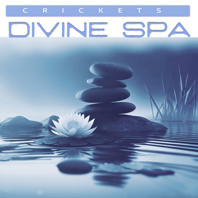 Divine Spa cover art