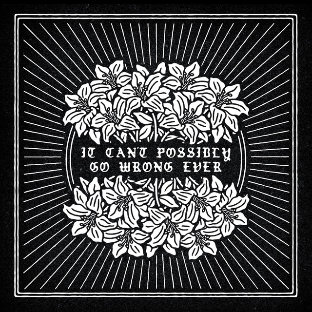 It Can't Possibly Go Wrong Ever cover art
