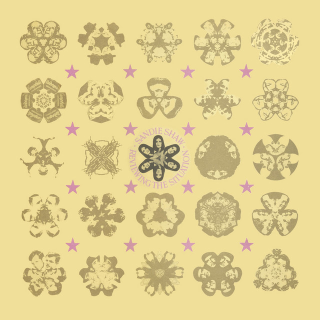 Reviewing The Situation cover art