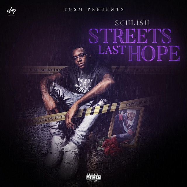 Streets Last Hope cover art