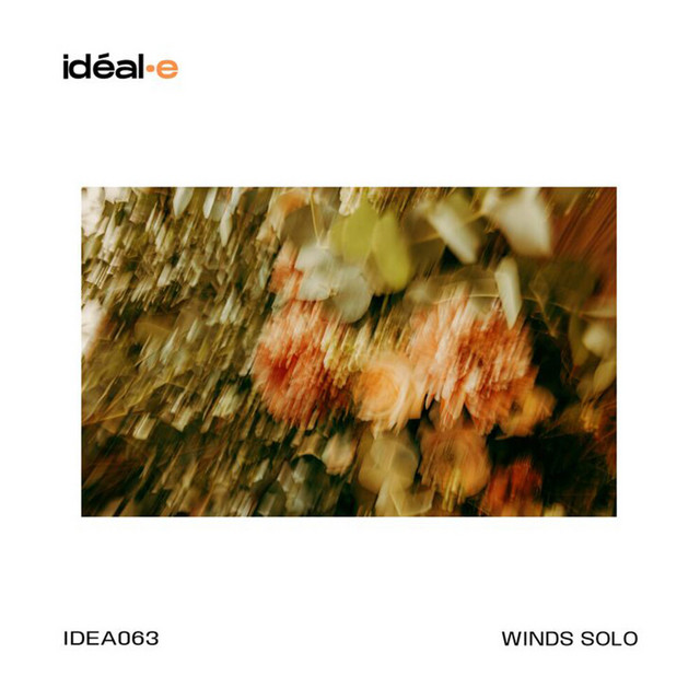 Winds Solo cover