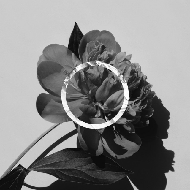 Consent cover art