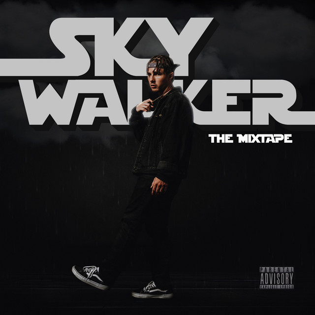 SKYWALKER cover art