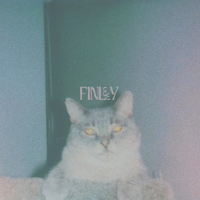 Finley - EP by Leopard Tuesday | Spotify