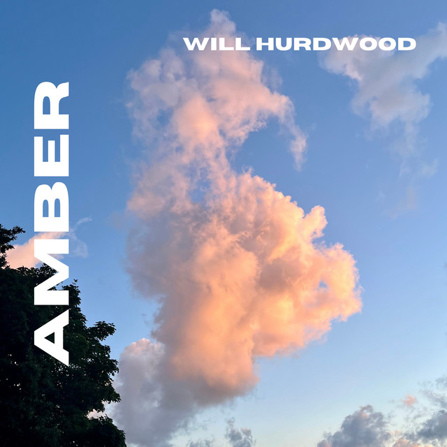 Amber cover art