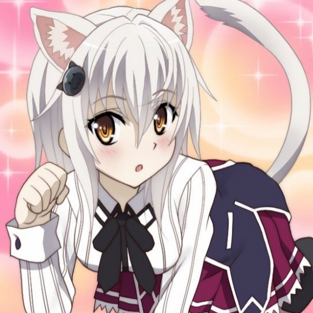 kittens cover art