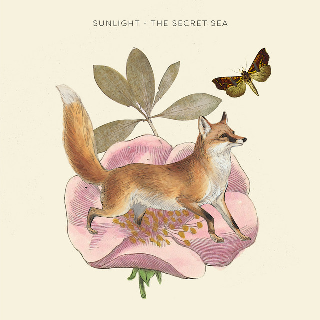 Sunlight cover