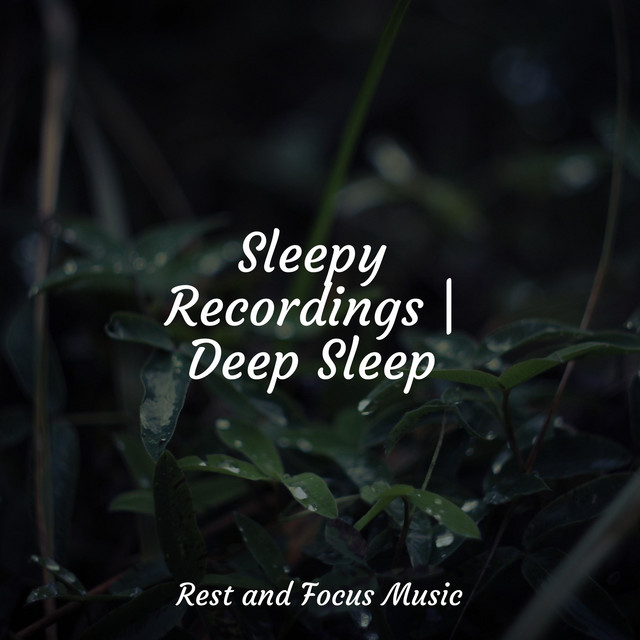 Sleepy Recordings | Deep Sleep - Album by Brain Study Music Guys | Spotify