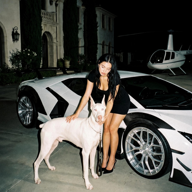 undefined album image