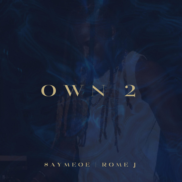 Own 2 - Single by SAYMEOE | Spotify