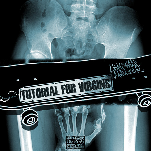 Tutorial for Virgins cover art