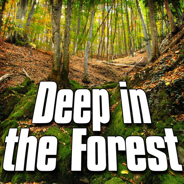 Deep In The Forest (Nature Sound) - Single by Sounds Of The Earth | Spotify