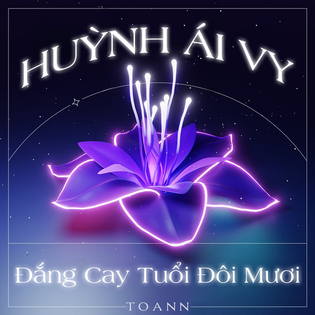 Đắng Cay Tuổi Đôi Mươi (Toann Remix) cover art
