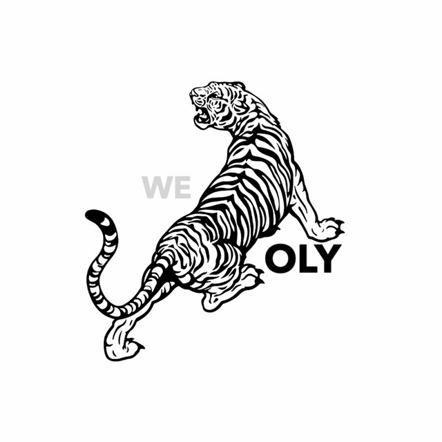 WE cover art