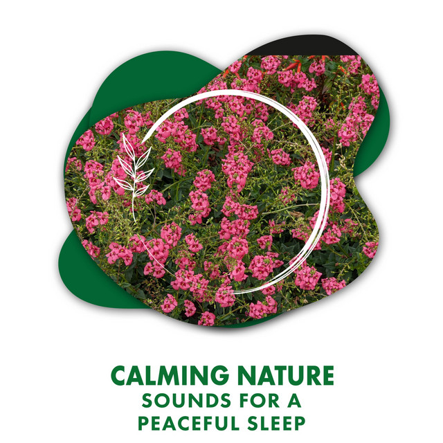 Calming Nature Sounds for a Peaceful Sleep - Album by Sleep Tight | Spotify