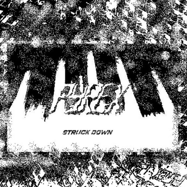 Struck Down cover art
