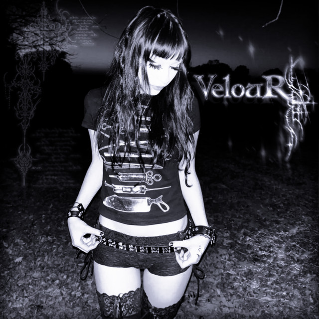 Обкладинка heavenguard — Velour